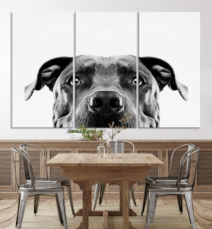 Black and Wwhite Pit Bull Dog Wall Art Canvas Print