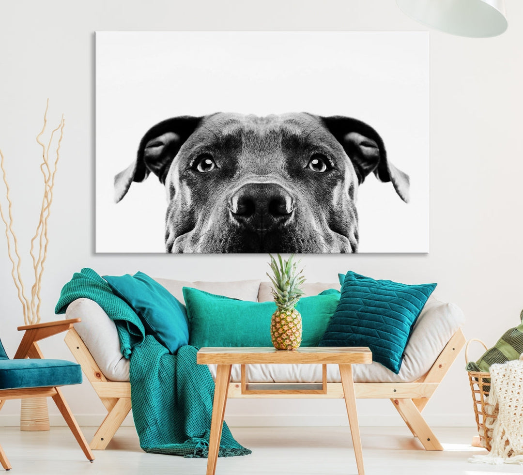 Black and Wwhite Pit Bull Dog Wall Art Canvas Print