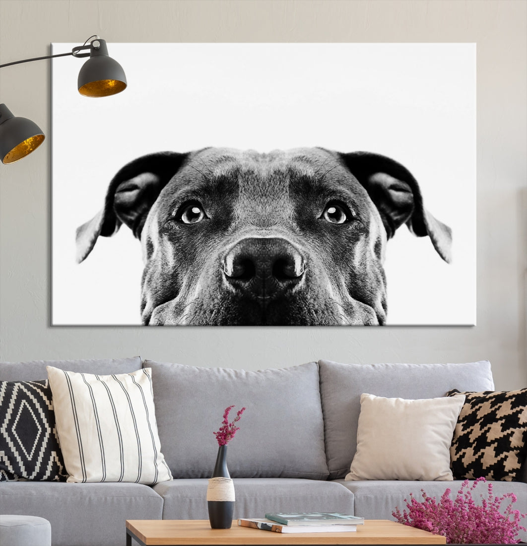 Black and Wwhite Pit Bull Dog Wall Art Canvas Print