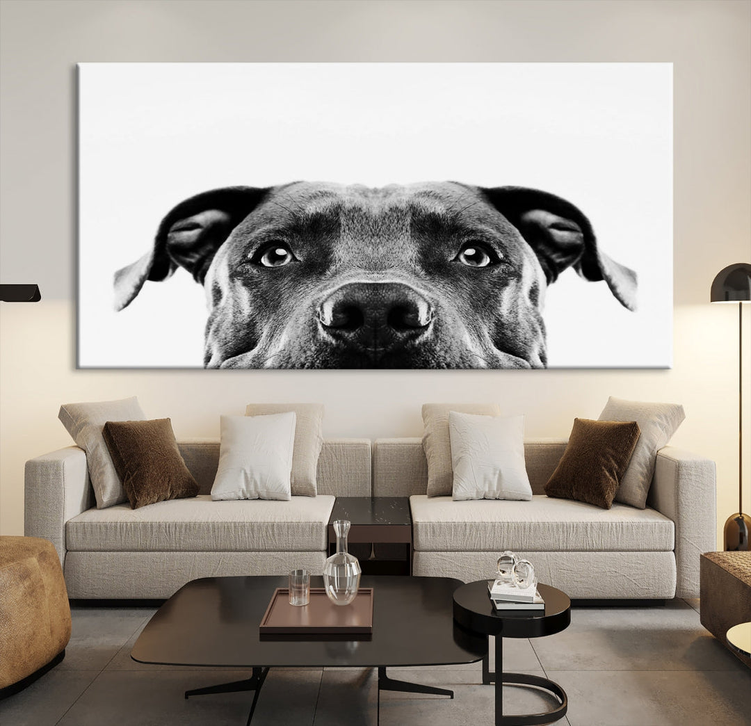 Black and Wwhite Pit Bull Dog Wall Art Canvas Print