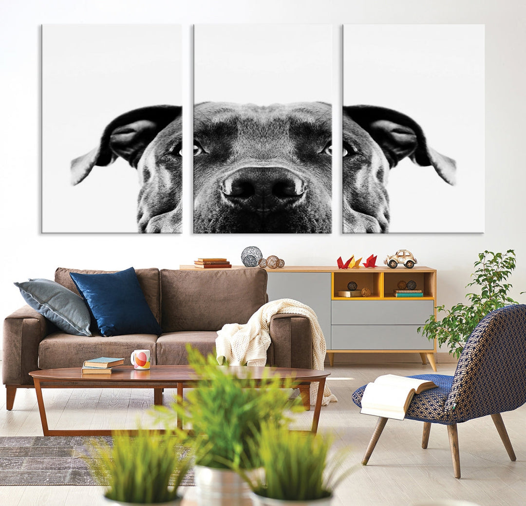 Black and Wwhite Pit Bull Dog Wall Art Canvas Print