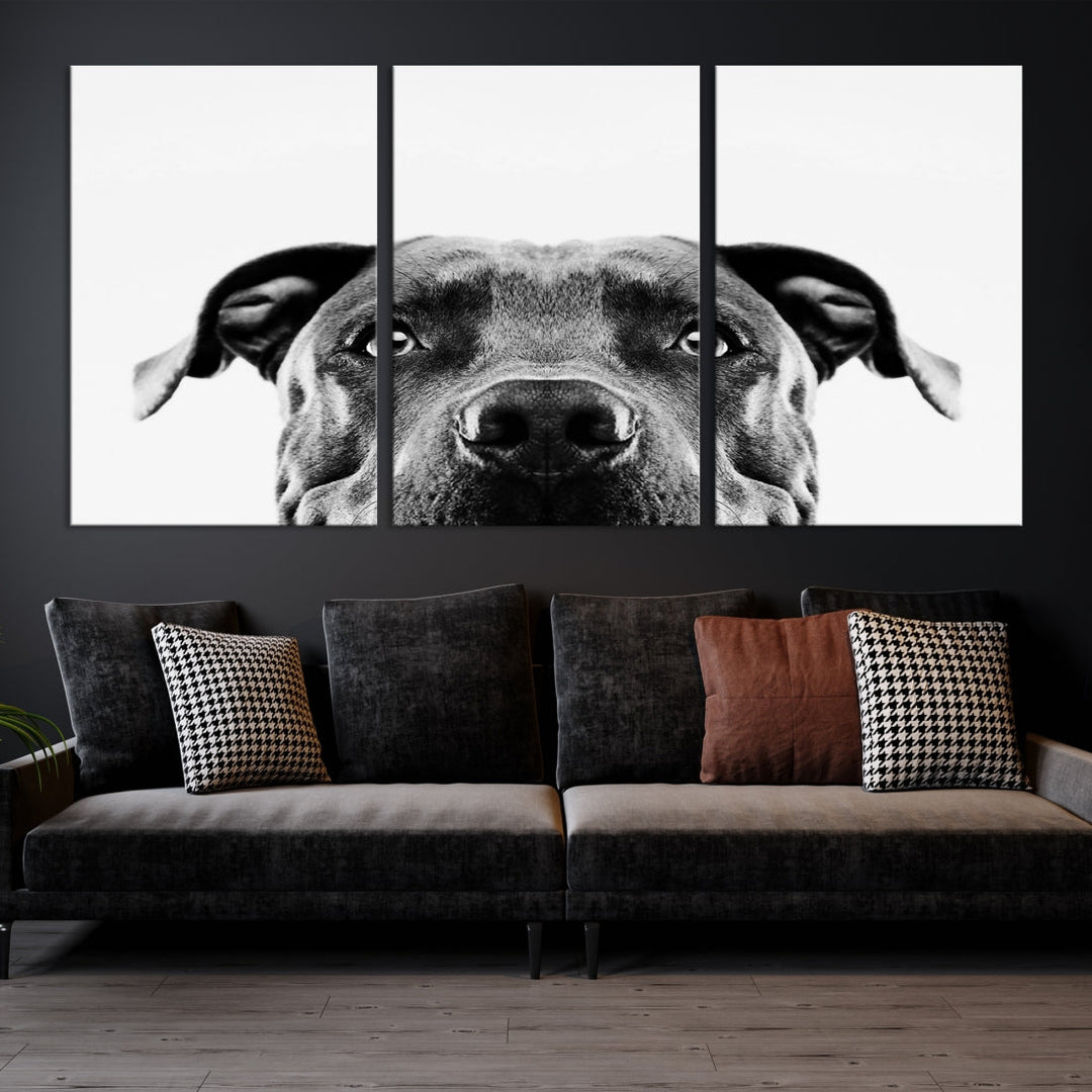 Black and Wwhite Pit Bull Dog Wall Art Canvas Print