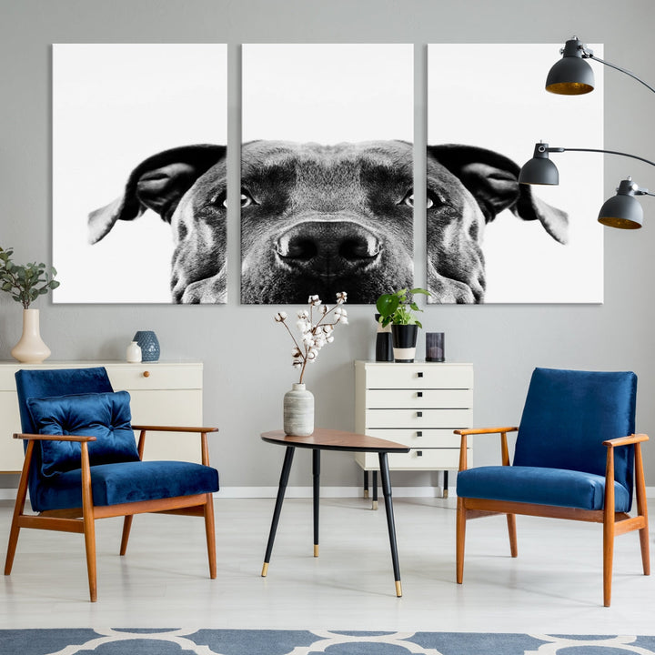 Black and Wwhite Pit Bull Dog Wall Art Canvas Print