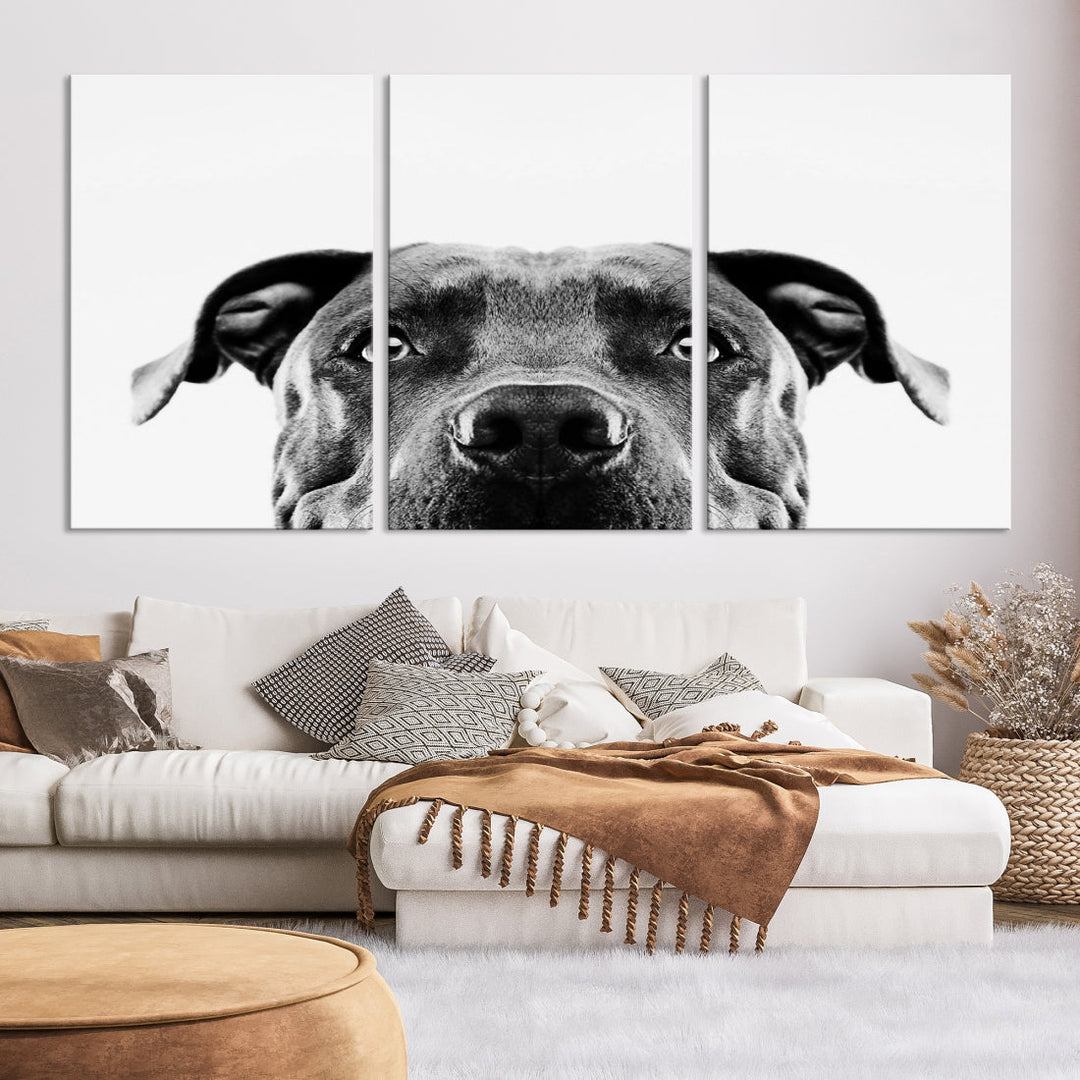 Black and Wwhite Pit Bull Dog Wall Art Canvas Print