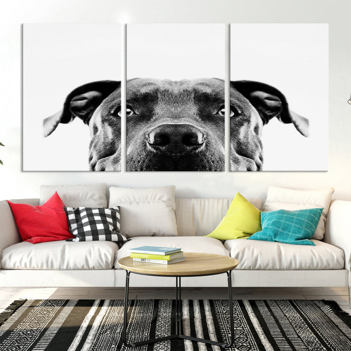 Black and Wwhite Pit Bull Dog Wall Art Canvas Print