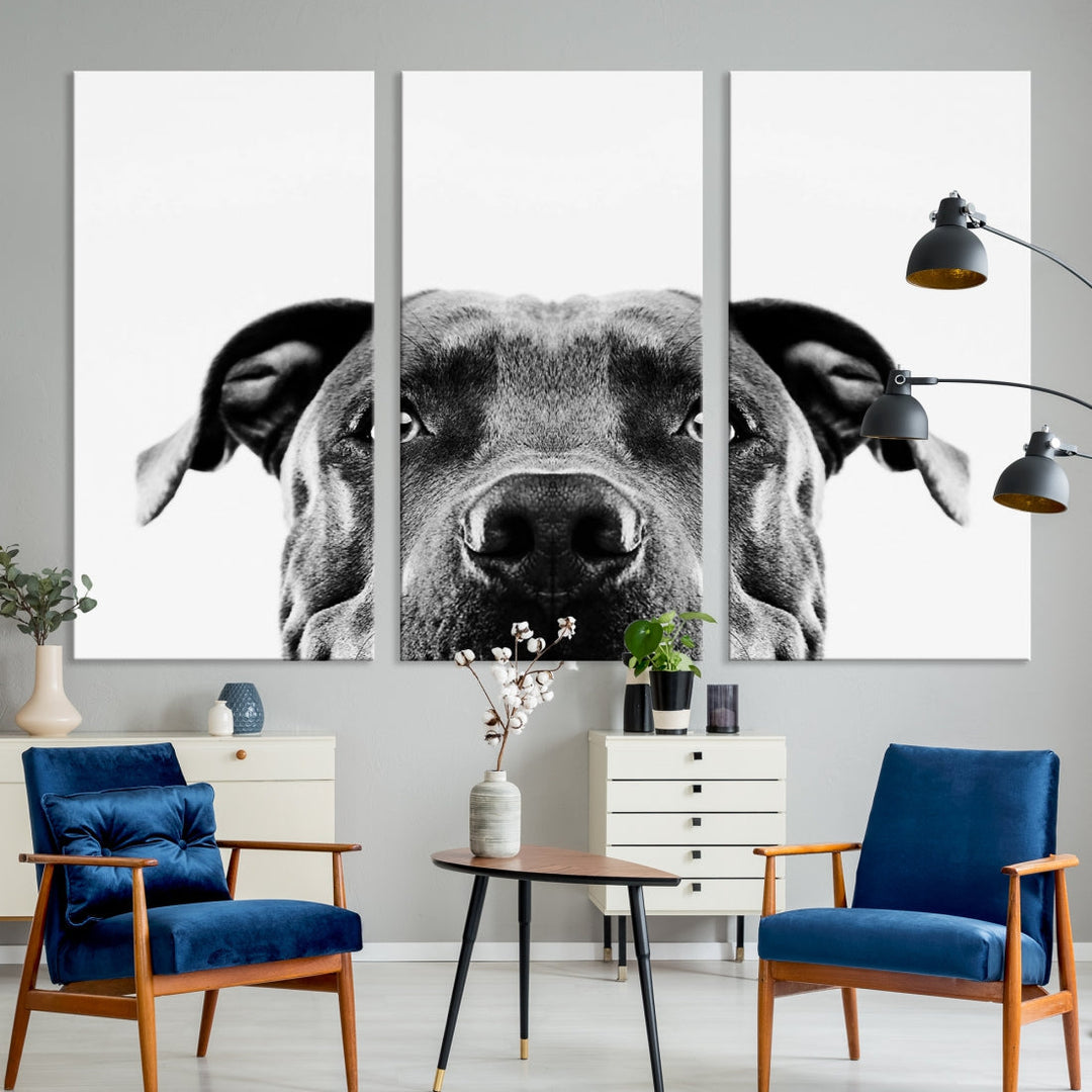 Black and Wwhite Pit Bull Dog Wall Art Canvas Print