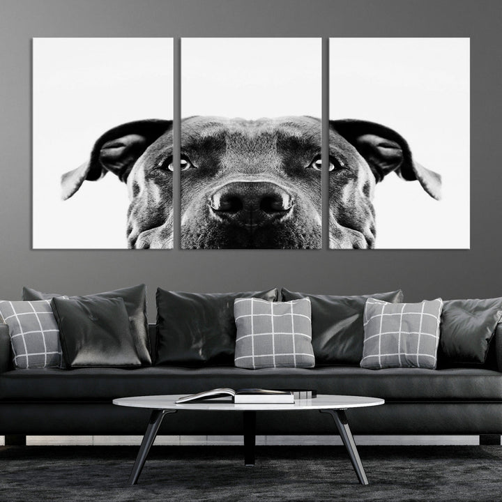 Black and Wwhite Pit Bull Dog Wall Art Canvas Print