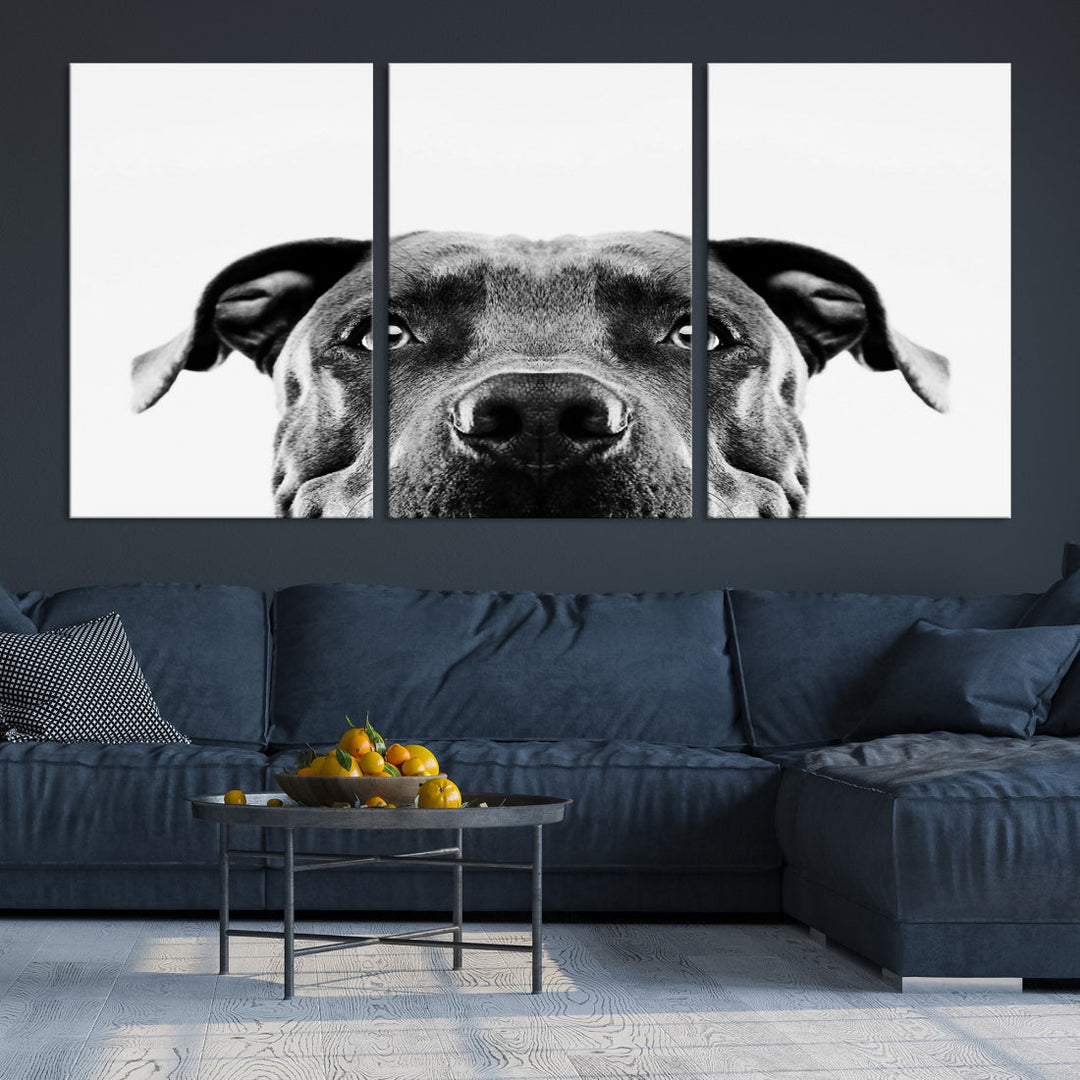 Black and Wwhite Pit Bull Dog Wall Art Canvas Print