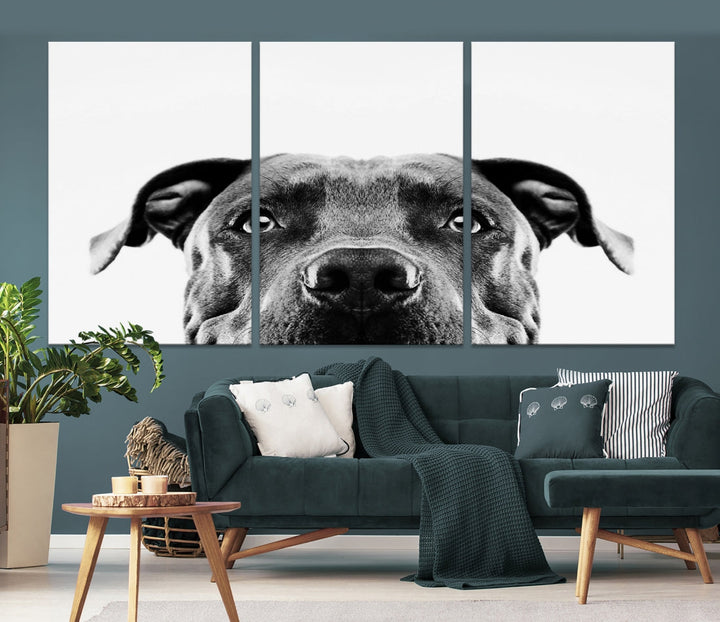 Black and Wwhite Pit Bull Dog Wall Art Canvas Print