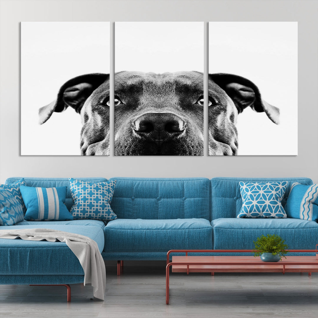 Black and Wwhite Pit Bull Dog Wall Art Canvas Print