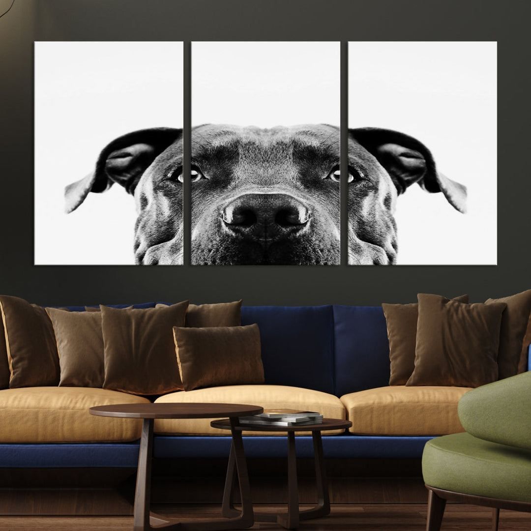 Black and Wwhite Pit Bull Dog Wall Art Canvas Print