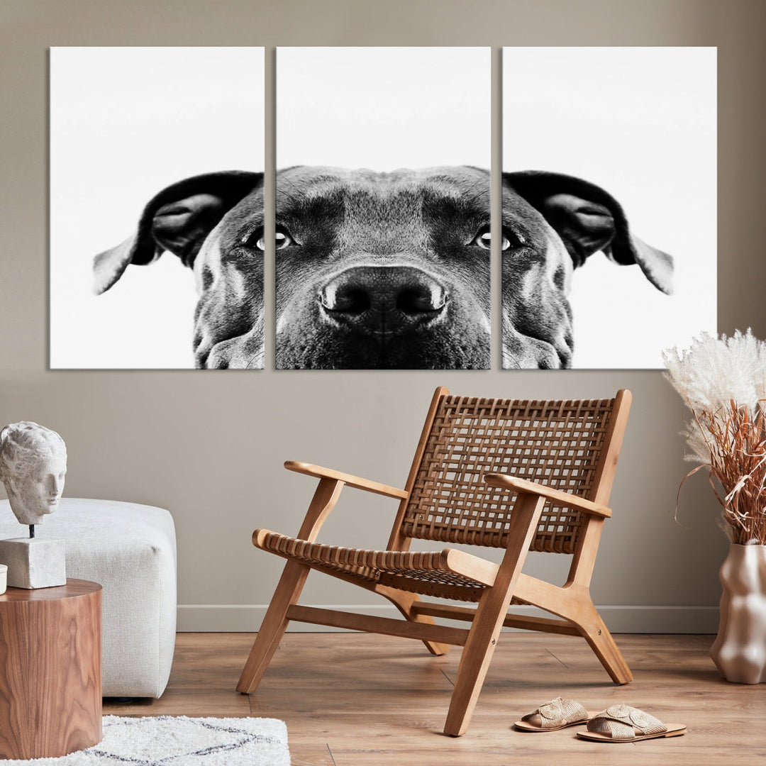 Black and Wwhite Pit Bull Dog Wall Art Canvas Print