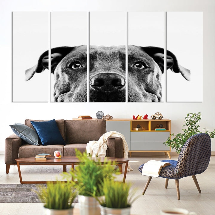 Black and Wwhite Pit Bull Dog Wall Art Canvas Print