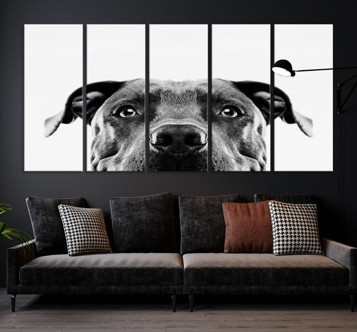 Black and Wwhite Pit Bull Dog Wall Art Canvas Print