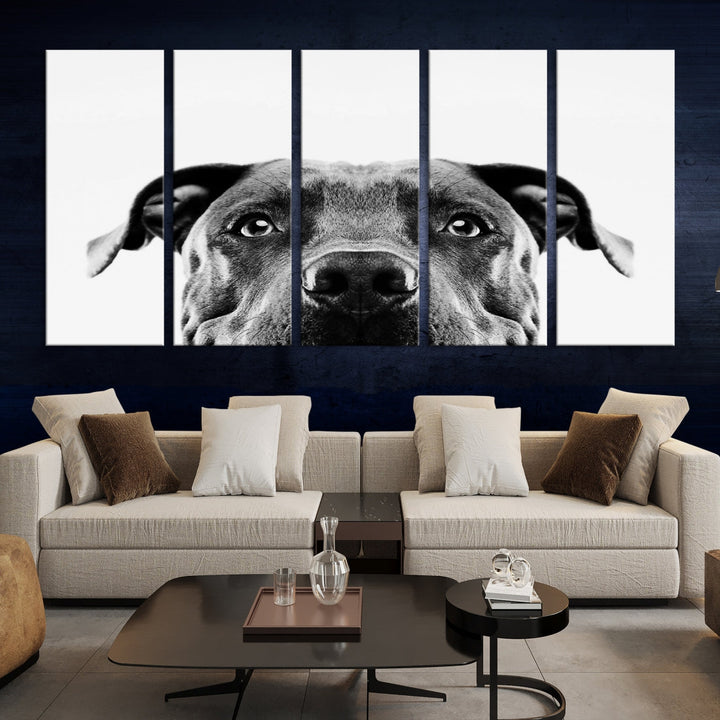 Black and Wwhite Pit Bull Dog Wall Art Canvas Print