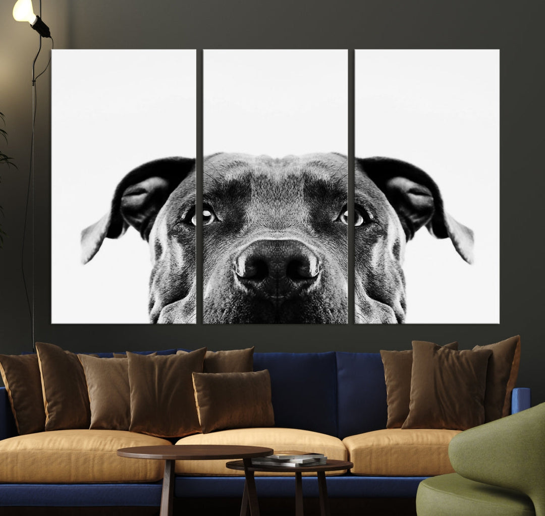 Black and Wwhite Pit Bull Dog Wall Art Canvas Print