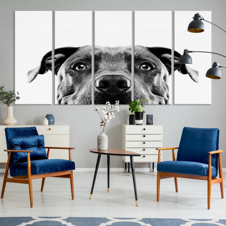 Black and Wwhite Pit Bull Dog Wall Art Canvas Print