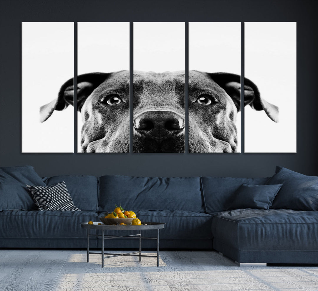 Black and Wwhite Pit Bull Dog Wall Art Canvas Print