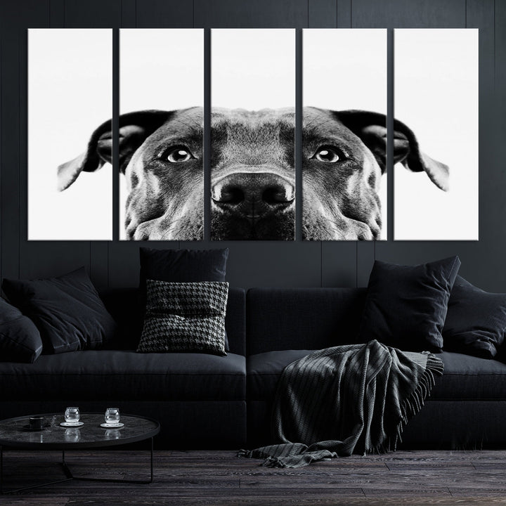 Black and Wwhite Pit Bull Dog Wall Art Canvas Print