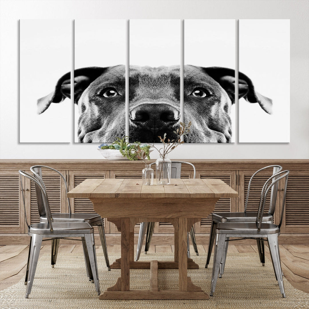 Black and Wwhite Pit Bull Dog Wall Art Canvas Print