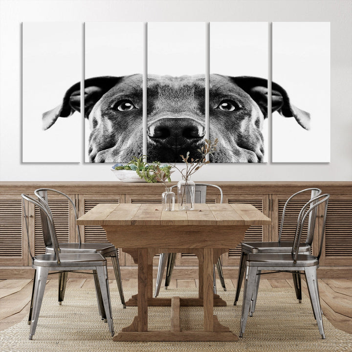 Black and Wwhite Pit Bull Dog Wall Art Canvas Print