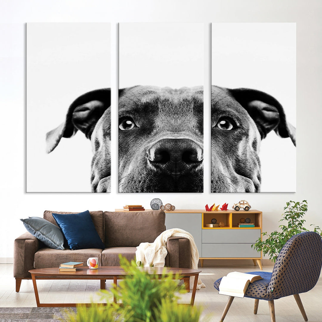 Black and Wwhite Pit Bull Dog Wall Art Canvas Print