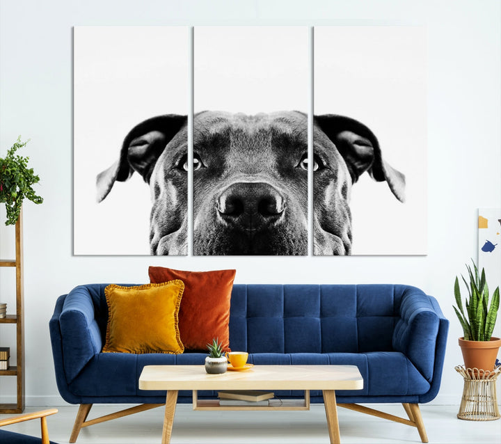 Black and Wwhite Pit Bull Dog Wall Art Canvas Print