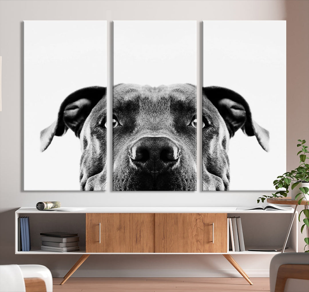 Black and Wwhite Pit Bull Dog Wall Art Canvas Print