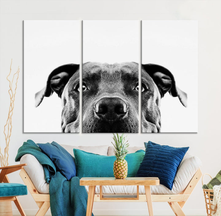 Black and Wwhite Pit Bull Dog Wall Art Canvas Print