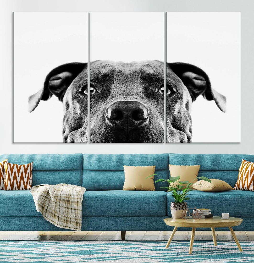 Black and Wwhite Pit Bull Dog Wall Art Canvas Print