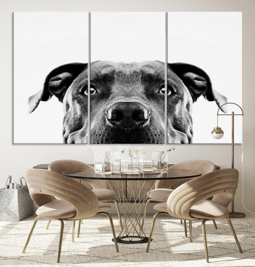 Black and Wwhite Pit Bull Dog Wall Art Canvas Print