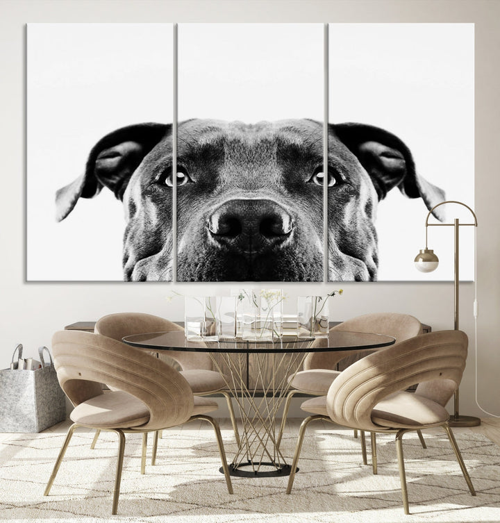 Black and Wwhite Pit Bull Dog Wall Art Canvas Print