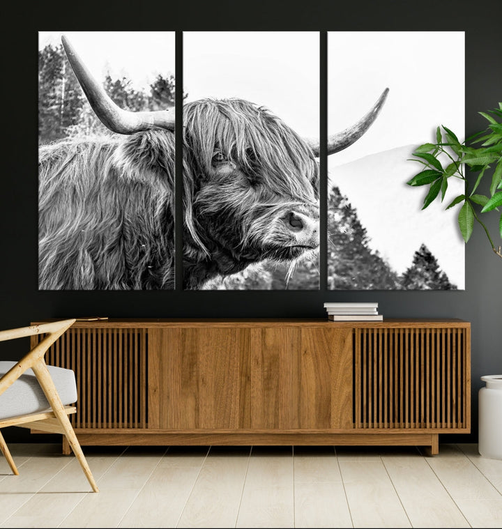 Black & White Highland Cow Wall Art Print, Scottish Cow Canvas Print, Framed Animal Farmhouse Wall Decor