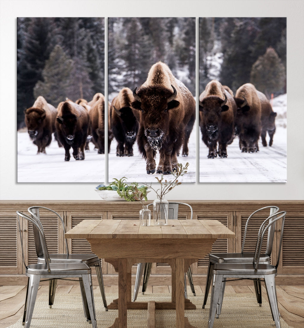 Buffalo Family Wall Art Canvas Print, Bison Wall Art Canvas