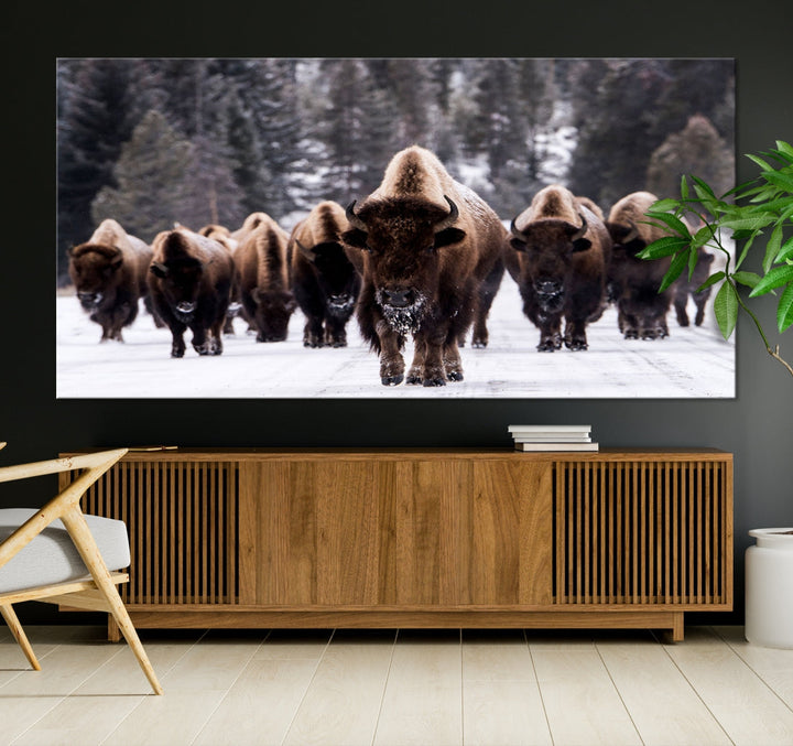 Buffalo Family Wall Art Canvas Print, Bison Wall Art Canvas