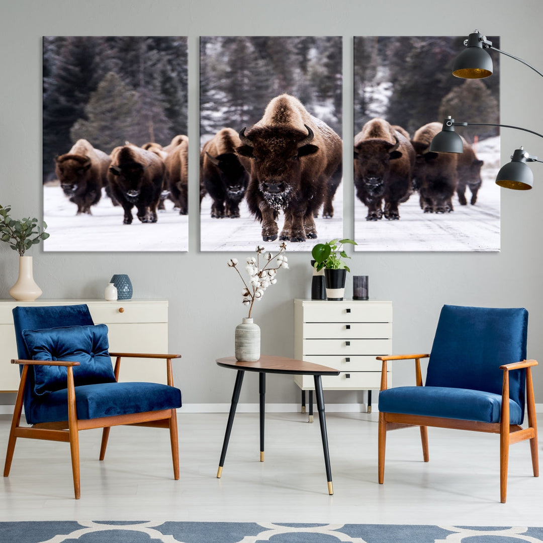 Buffalo Family Wall Art Canvas Print, Bison Wall Art Canvas