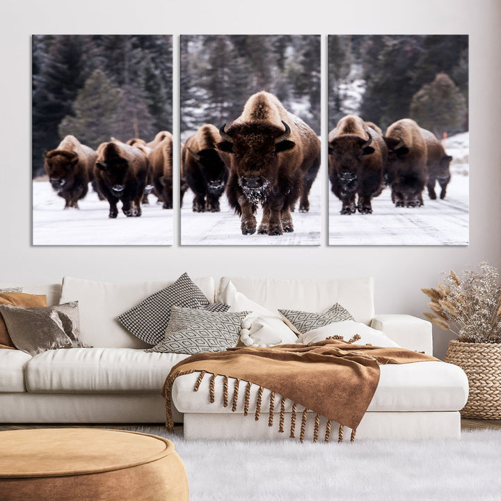 Buffalo Family Wall Art Canvas Print, Bison Wall Art Canvas