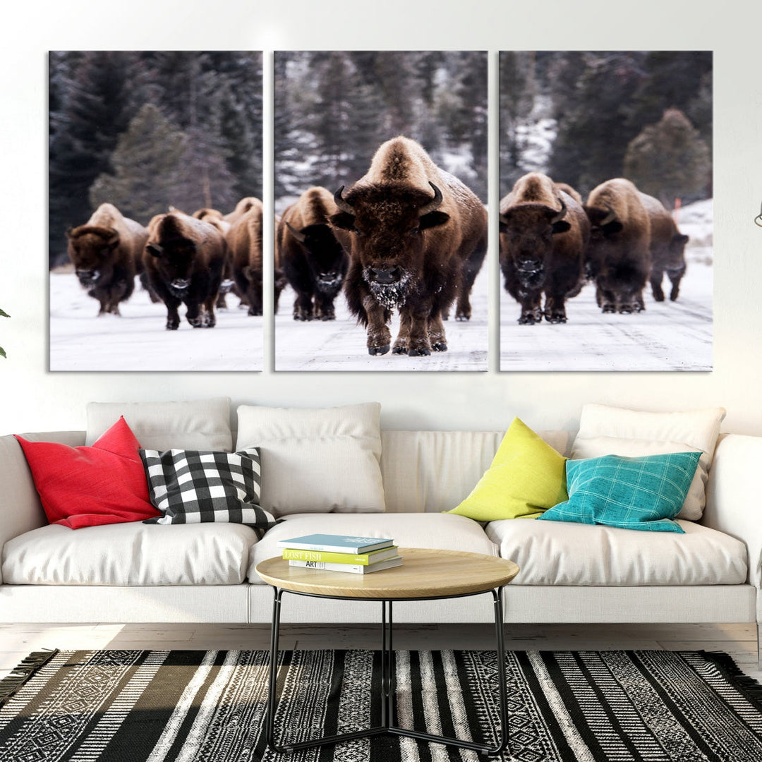 Buffalo Family Wall Art Canvas Print, Bison Wall Art Canvas