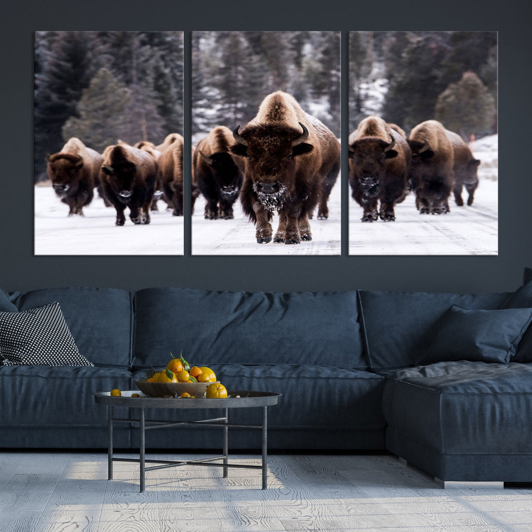 Buffalo Family Wall Art Canvas Print, Bison Wall Art Canvas