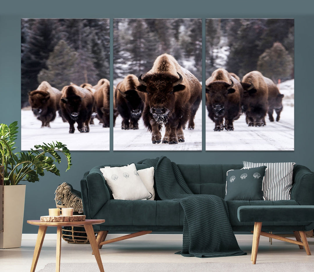 Buffalo Family Wall Art Canvas Print, Bison Wall Art Canvas