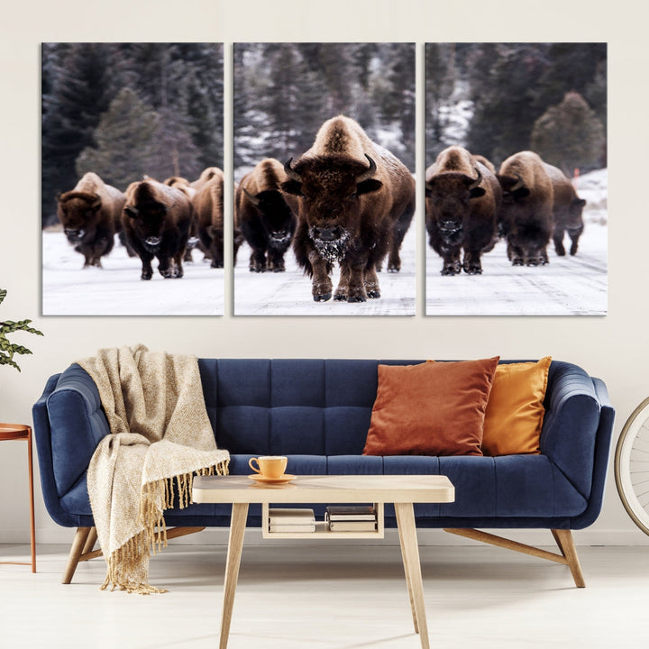 Buffalo Family Wall Art Canvas Print, Bison Wall Art Canvas