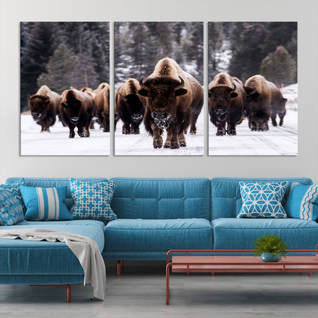 Buffalo Family Wall Art Canvas Print, Bison Wall Art Canvas