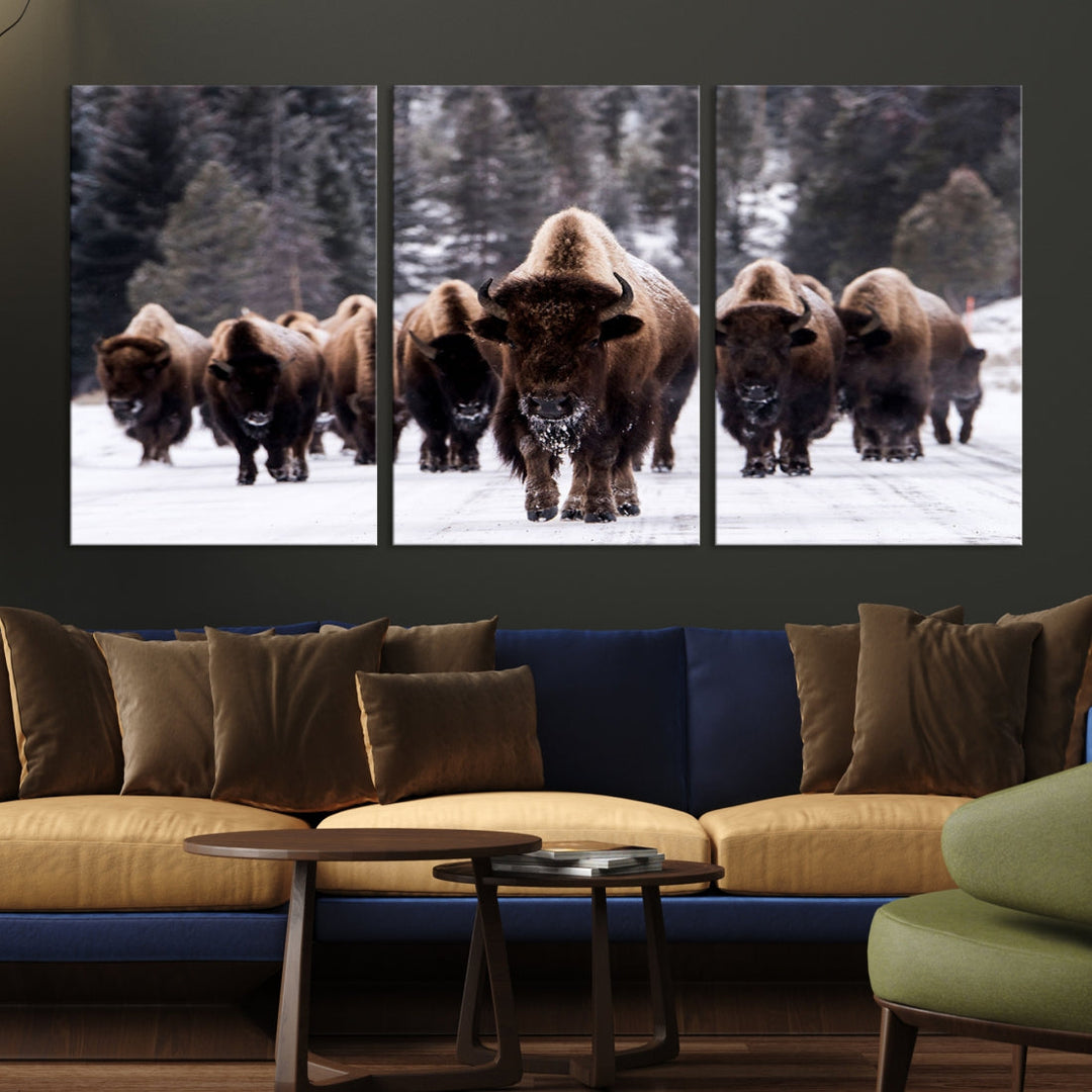 Buffalo Family Wall Art Canvas Print, Bison Wall Art Canvas