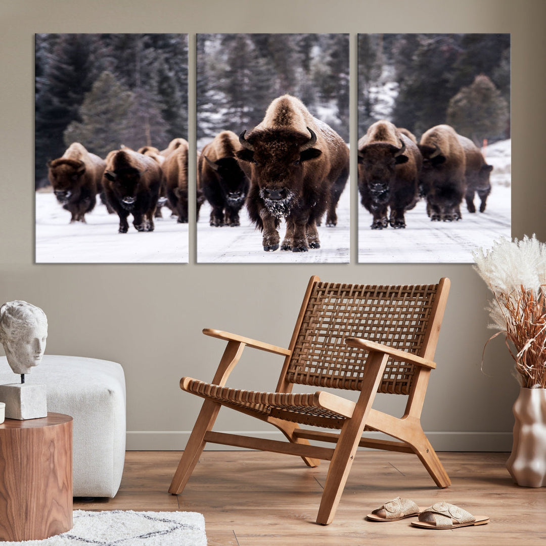 Buffalo Family Wall Art Canvas Print, Bison Wall Art Canvas