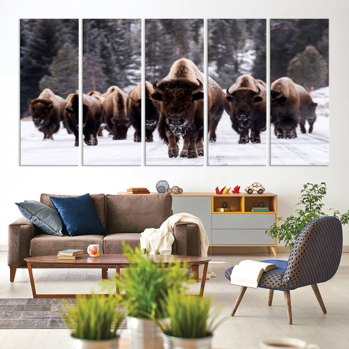 Buffalo Family Wall Art Canvas Print, Bison Wall Art Canvas