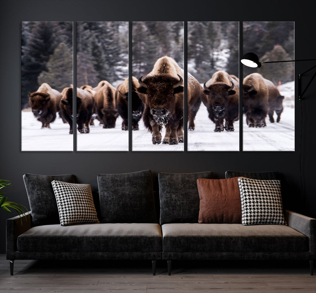 Buffalo Family Wall Art Canvas Print, Bison Wall Art Canvas