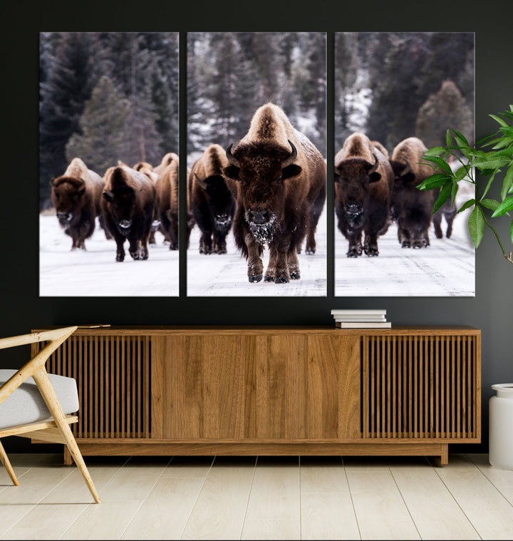 Buffalo Family Wall Art Canvas Print, Bison Wall Art Canvas