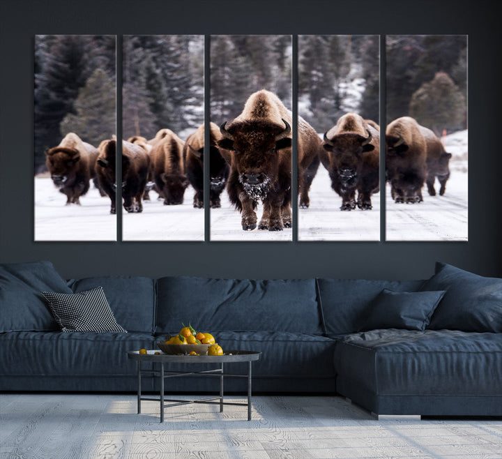 Buffalo Family Wall Art Canvas Print, Bison Wall Art Canvas