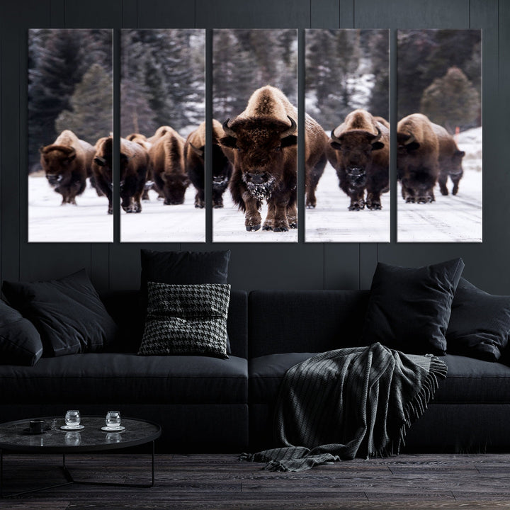 Buffalo Family Wall Art Canvas Print, Bison Wall Art Canvas