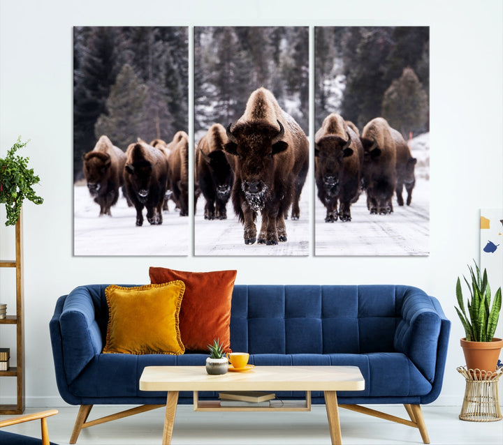 Buffalo Family Wall Art Canvas Print, Bison Wall Art Canvas